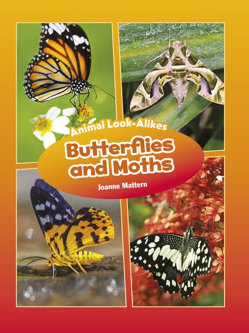 Title details for Butterflies and Moths by Joanne Mattern - Available